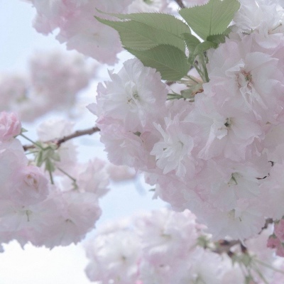 Furry插画光影处理兽圈社群